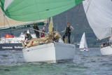 pippa vi 6006c whyw19 thur gjmc 5446